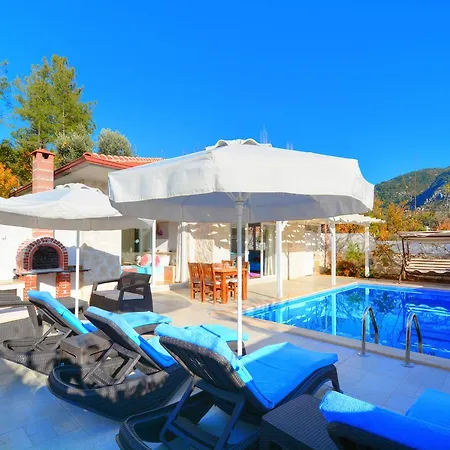 Erva * Kalkan
